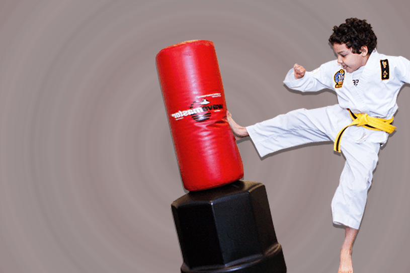 lion special need martial arts